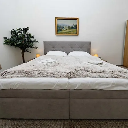 Apartment U Cisare